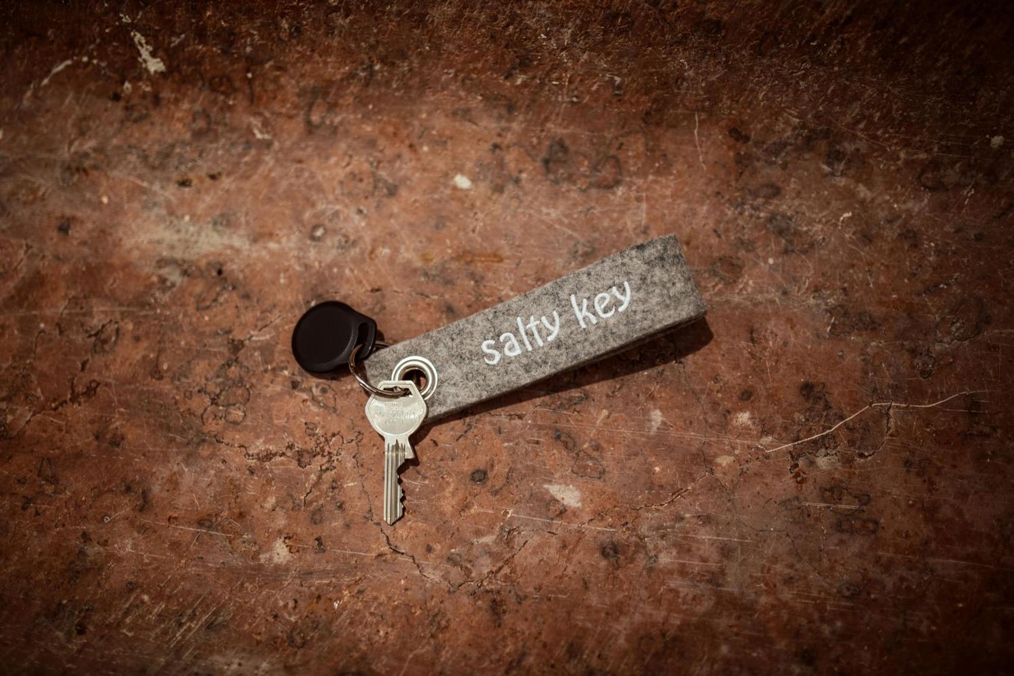 The Salt Vis A Vis Hallein